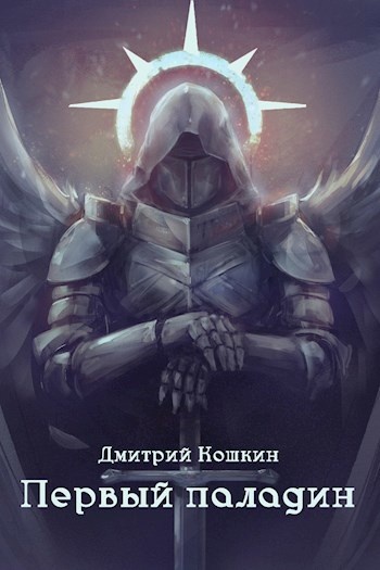 Обложка книги Первый паладин