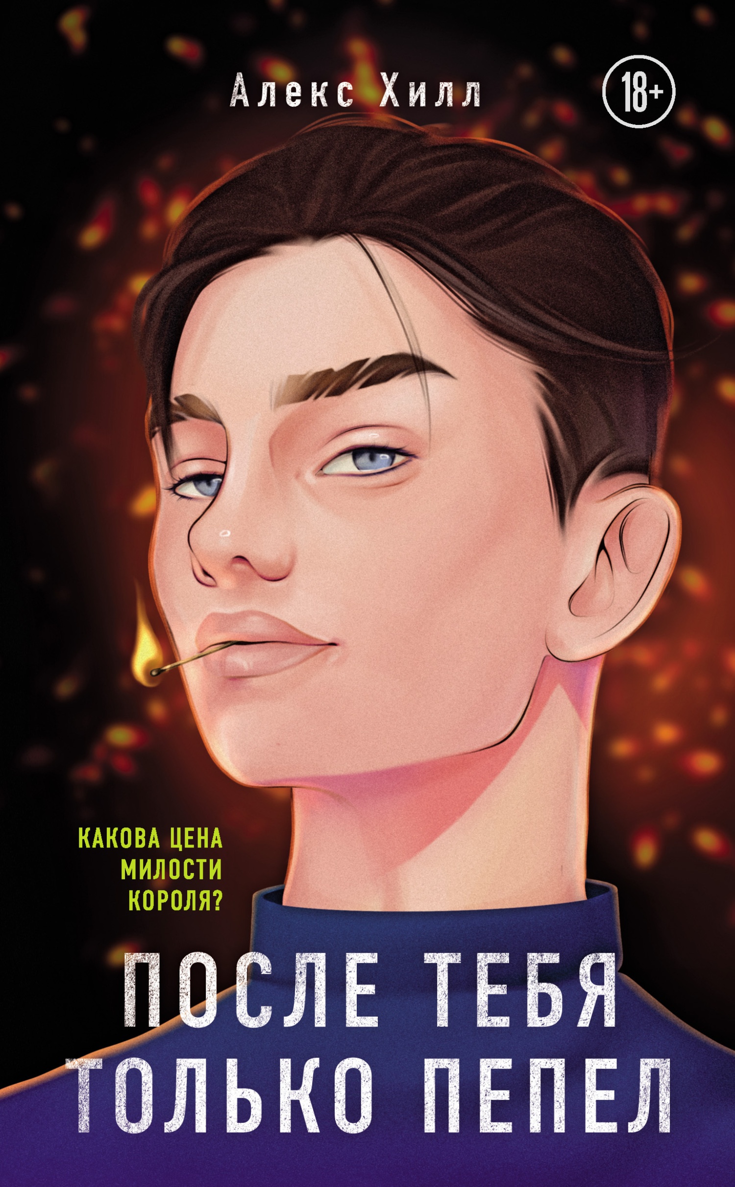 Обложка книги После тебя только пепел