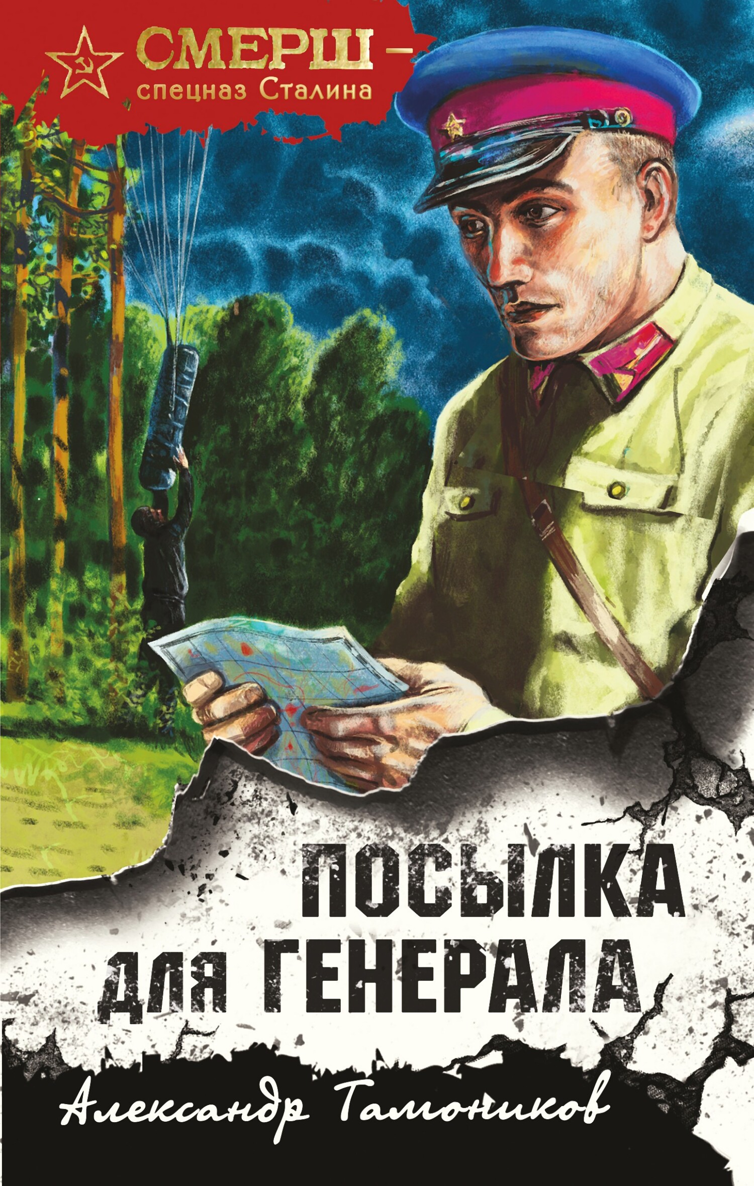 Обложка книги Посылка для генерала