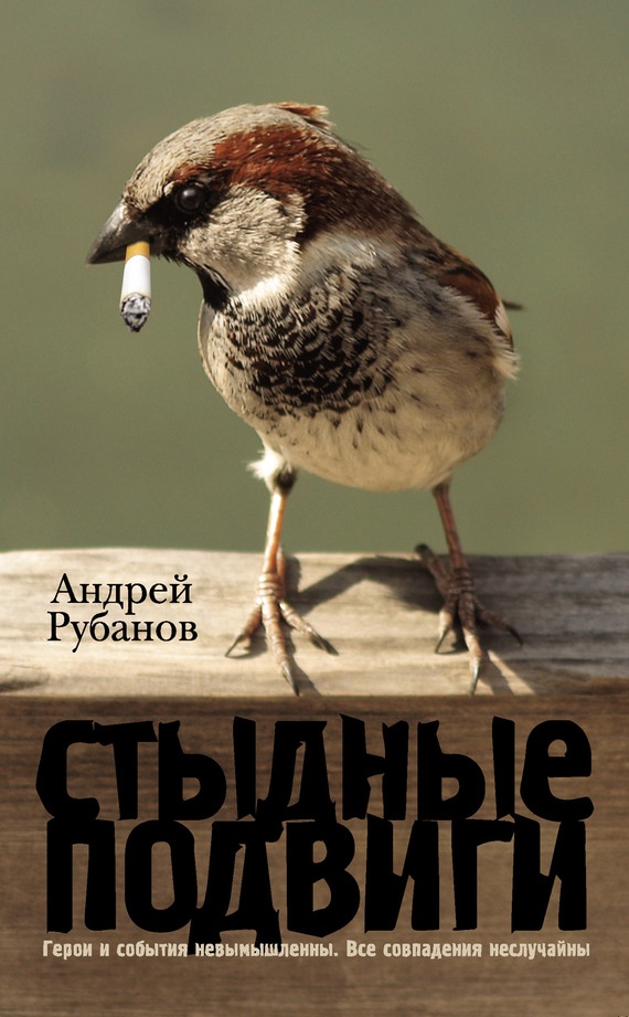 Обложка книги Стыдные подвиги