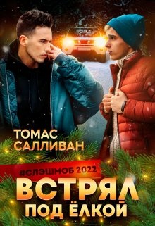 Обложка книги Встрял под ёлкой